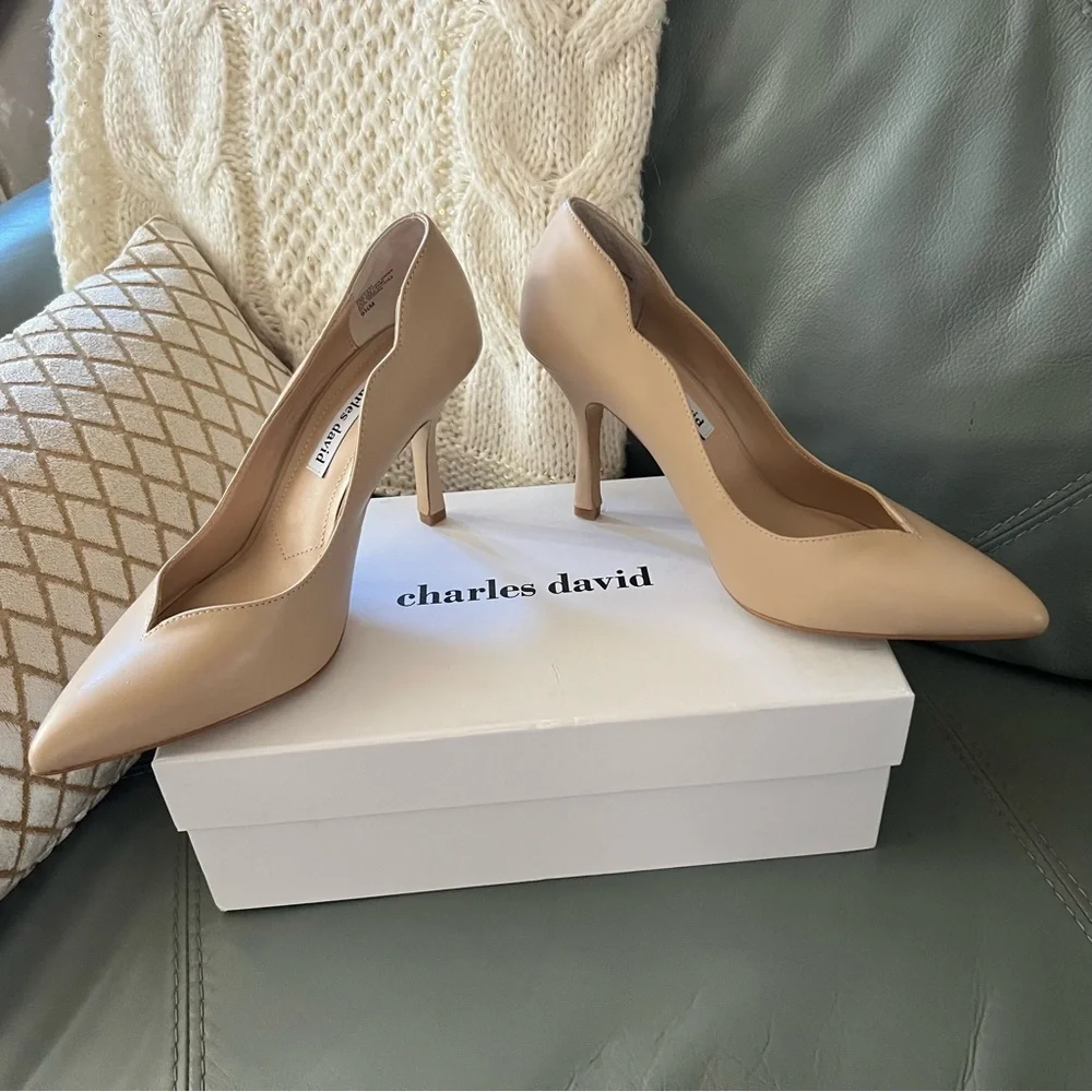 $120 Charles David INNOCENT Pointed Closed Toe STILETTO Heel LEATHER PUMPS 9.5 - Picture 3 of 17